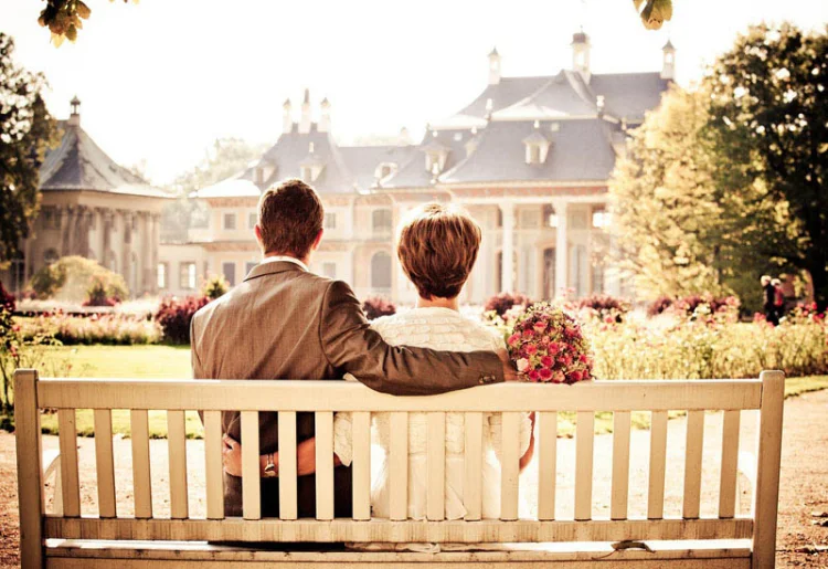 Sed magna purus fermentum