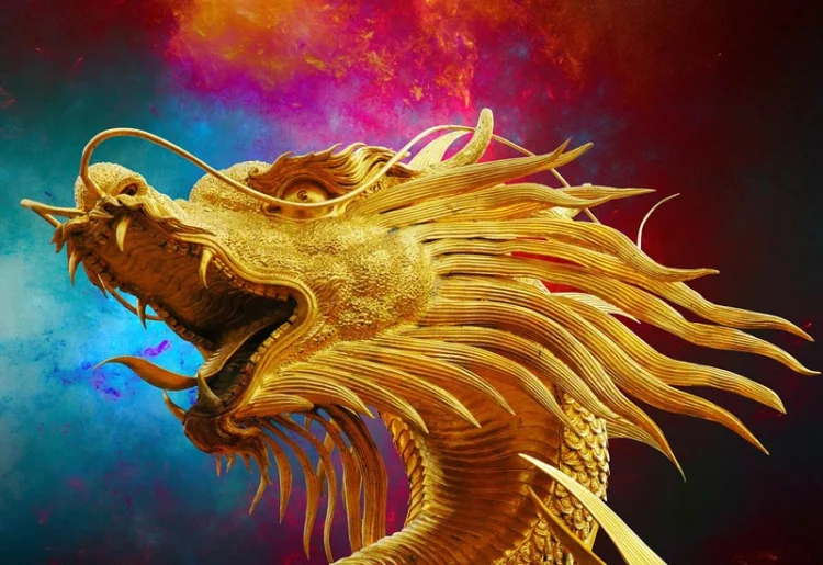 Donec elit libero sodales nec